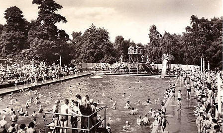 Trentham Gardens Lido - image