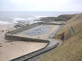 Tynemouth Pool just rocks - image