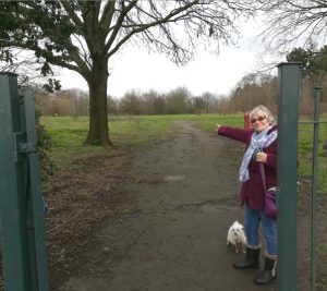 Pointing the way to Danson Park Lido - image