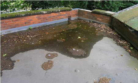 Roof of Plant Room - image