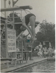 Memory Lane - Diving in the Midland Championships - image