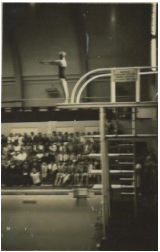 Memory Lane - School Swimming Sports Winning Dive - image