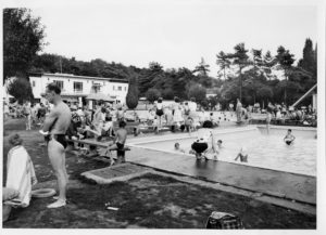 Burnham Beeches Small Pool - image